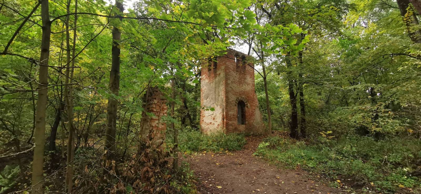 Zdjęcie 1