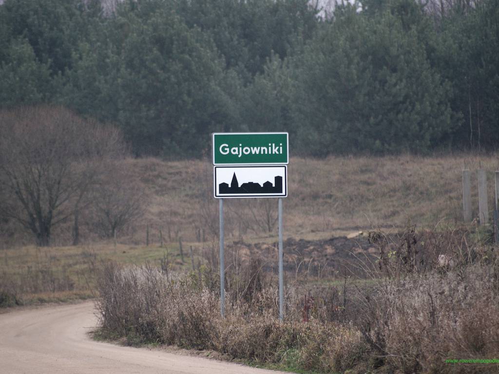 Zdjęcie 6