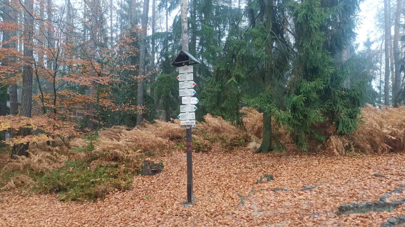 Zdjęcie 6