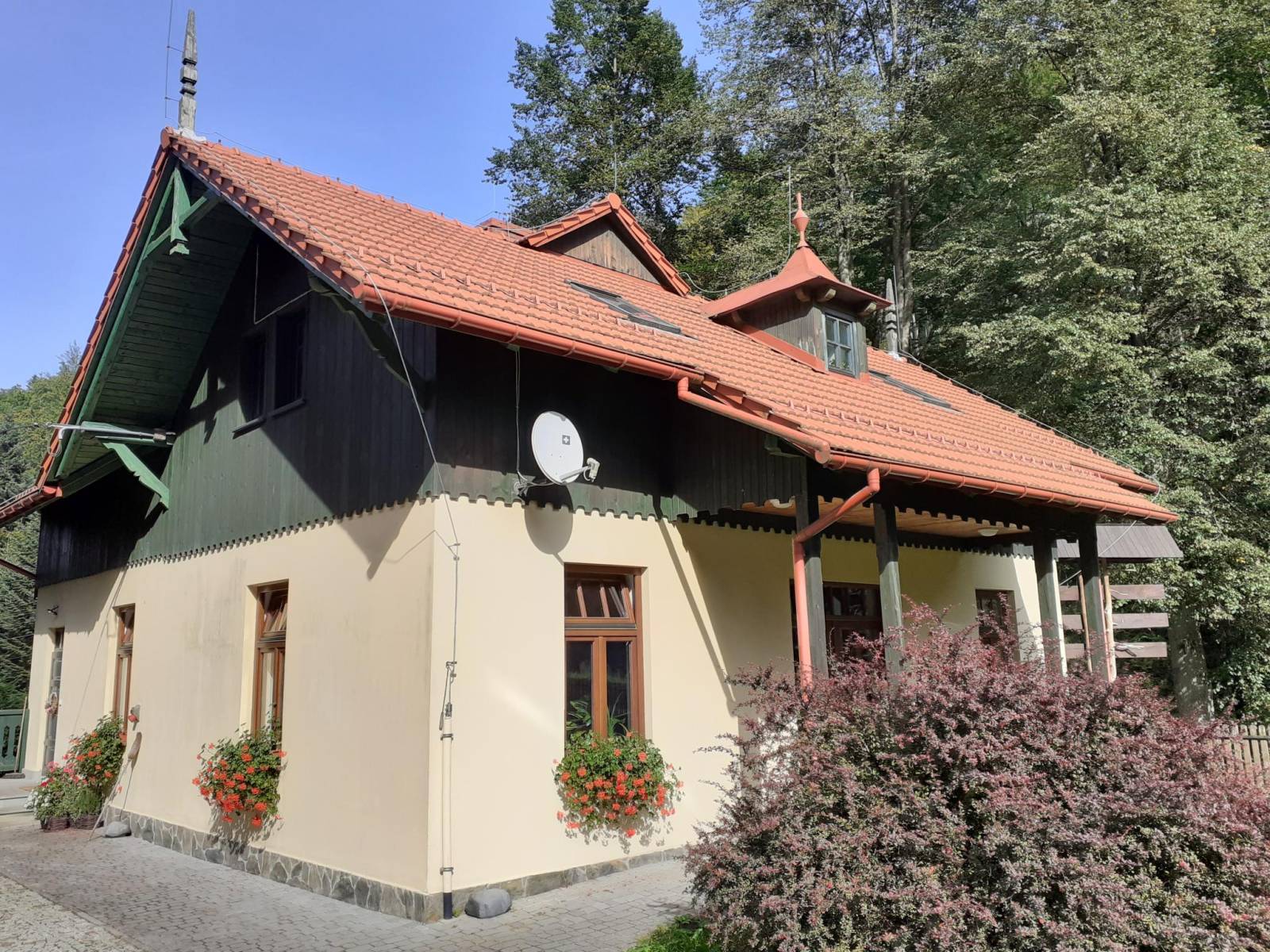 Zdjęcie 5