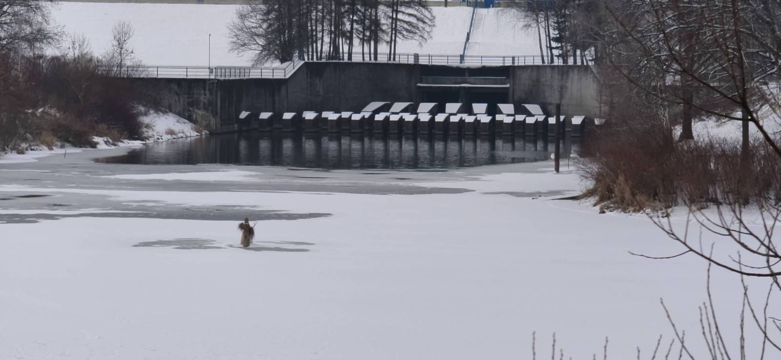 Zdjęcie 6