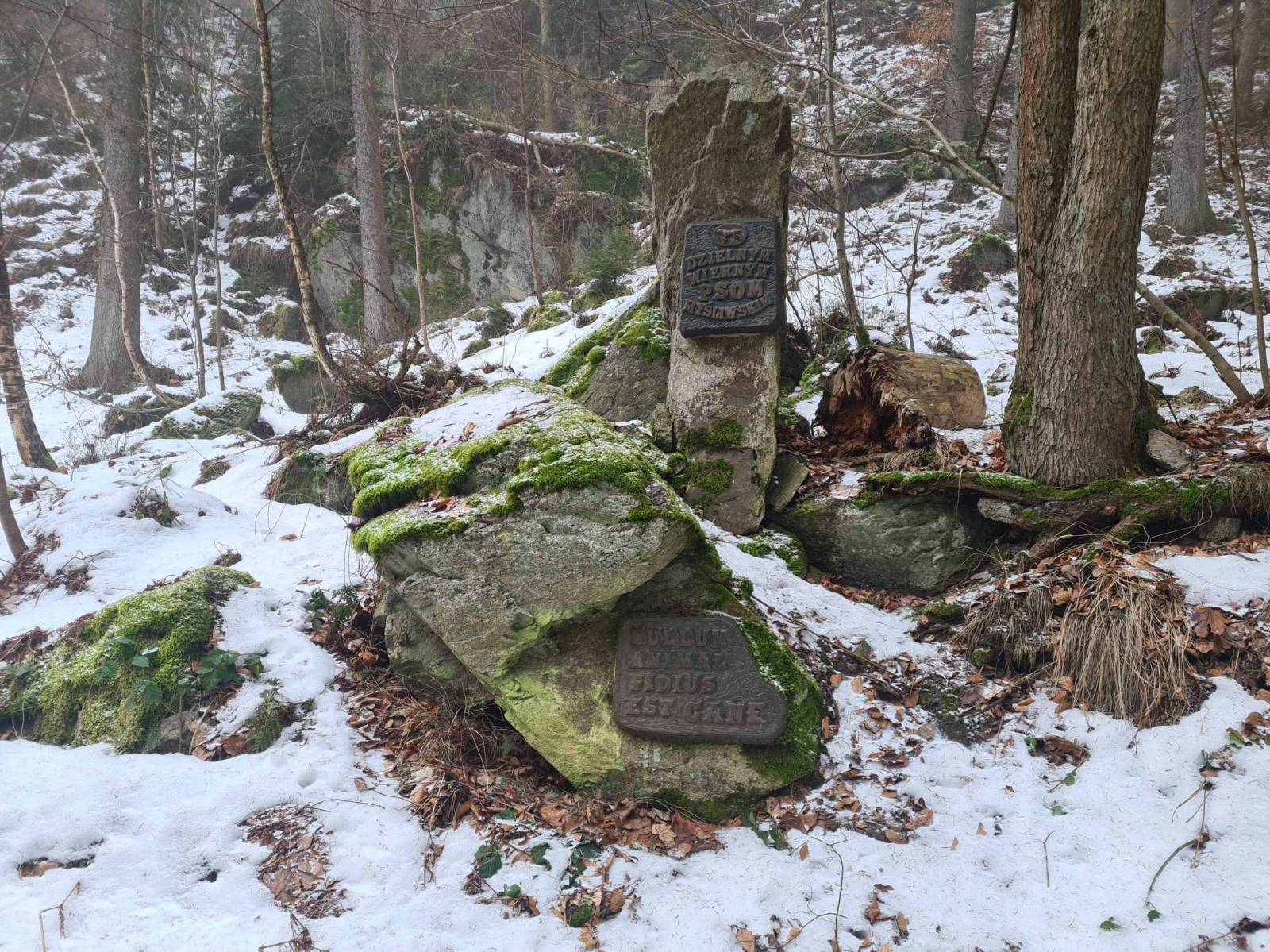 Zdjęcie 6