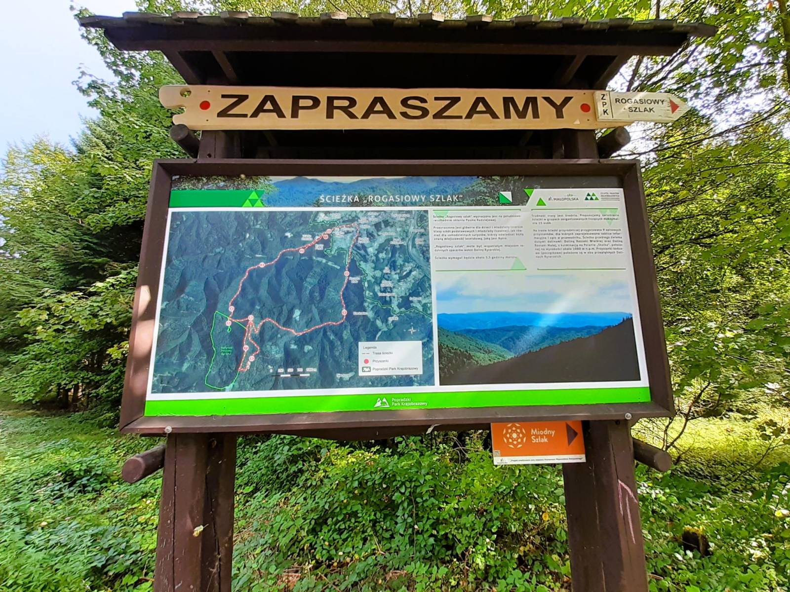 Zdjęcie 3