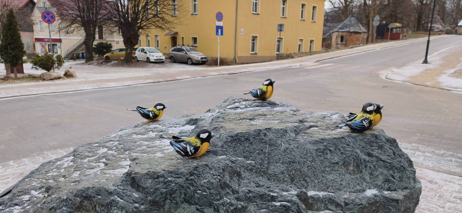 Zdjęcie 3