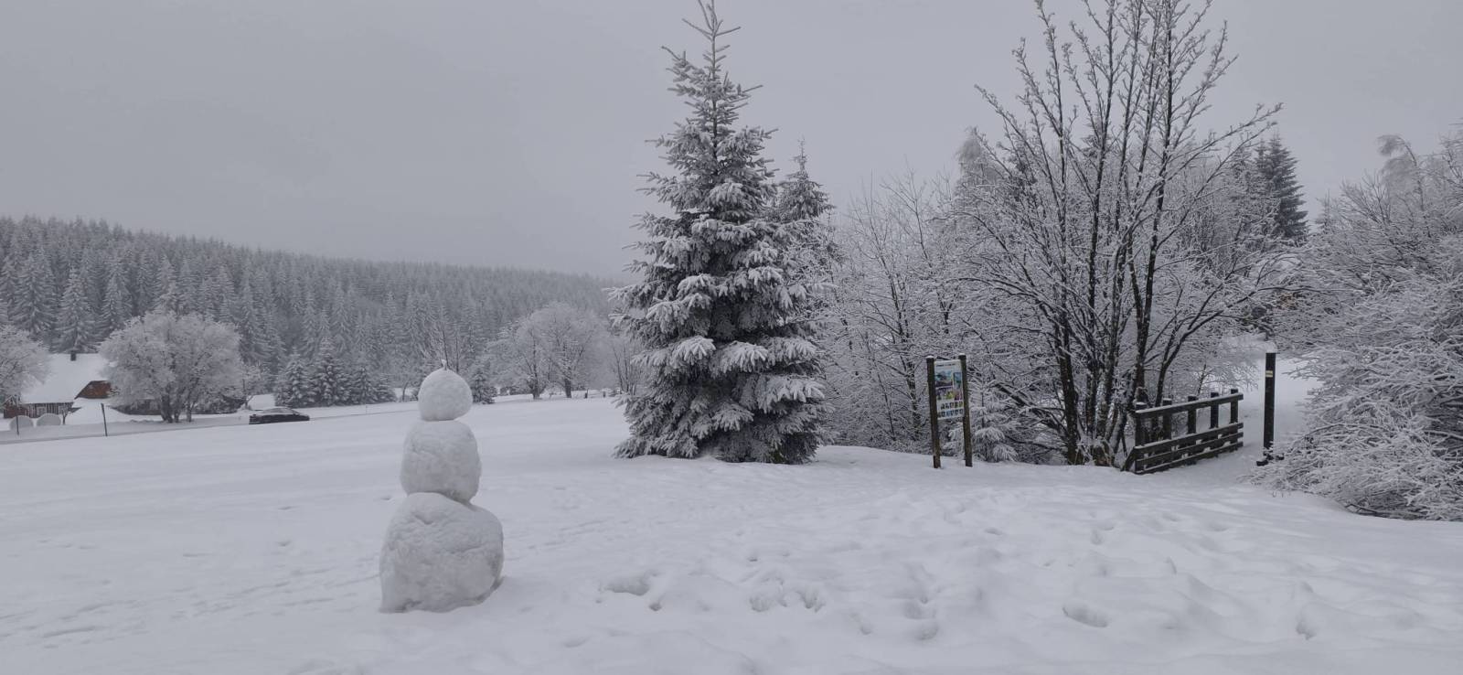Zdjęcie 3