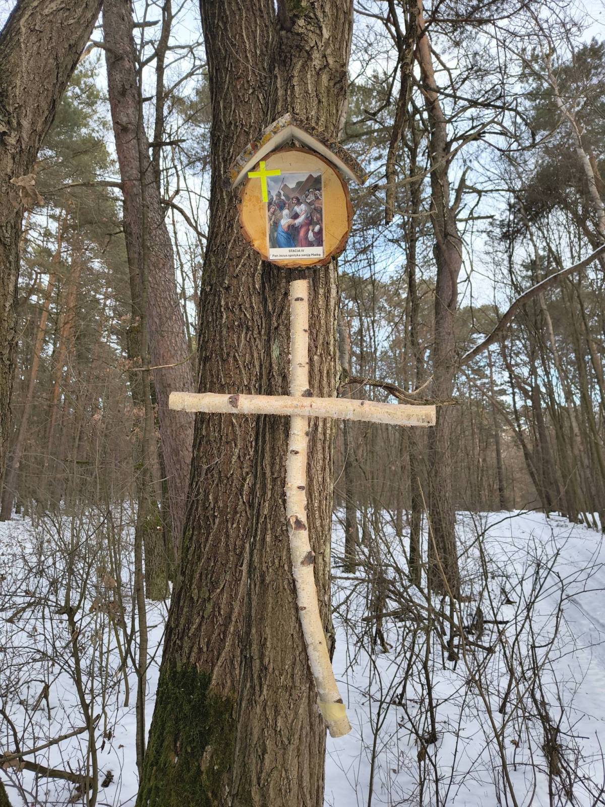 Zdjęcie 2