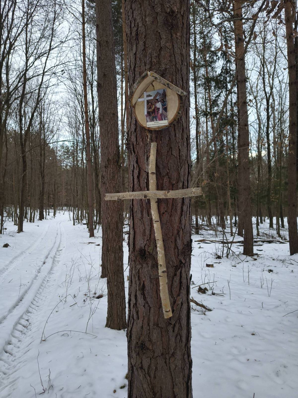 Zdjęcie 6