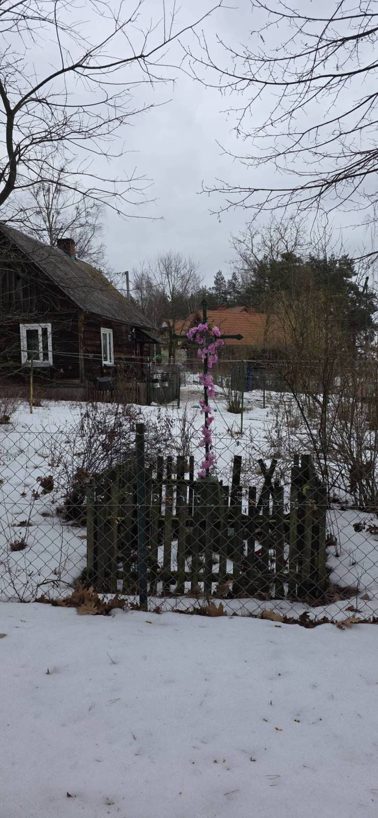 Zdjęcie 6