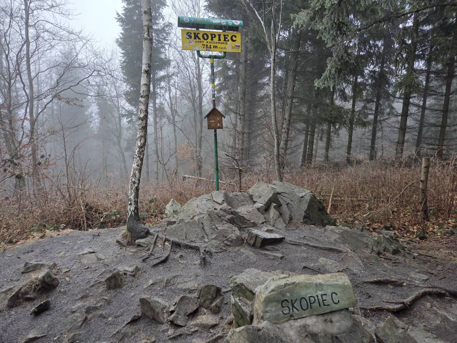 Zdjęcie 1