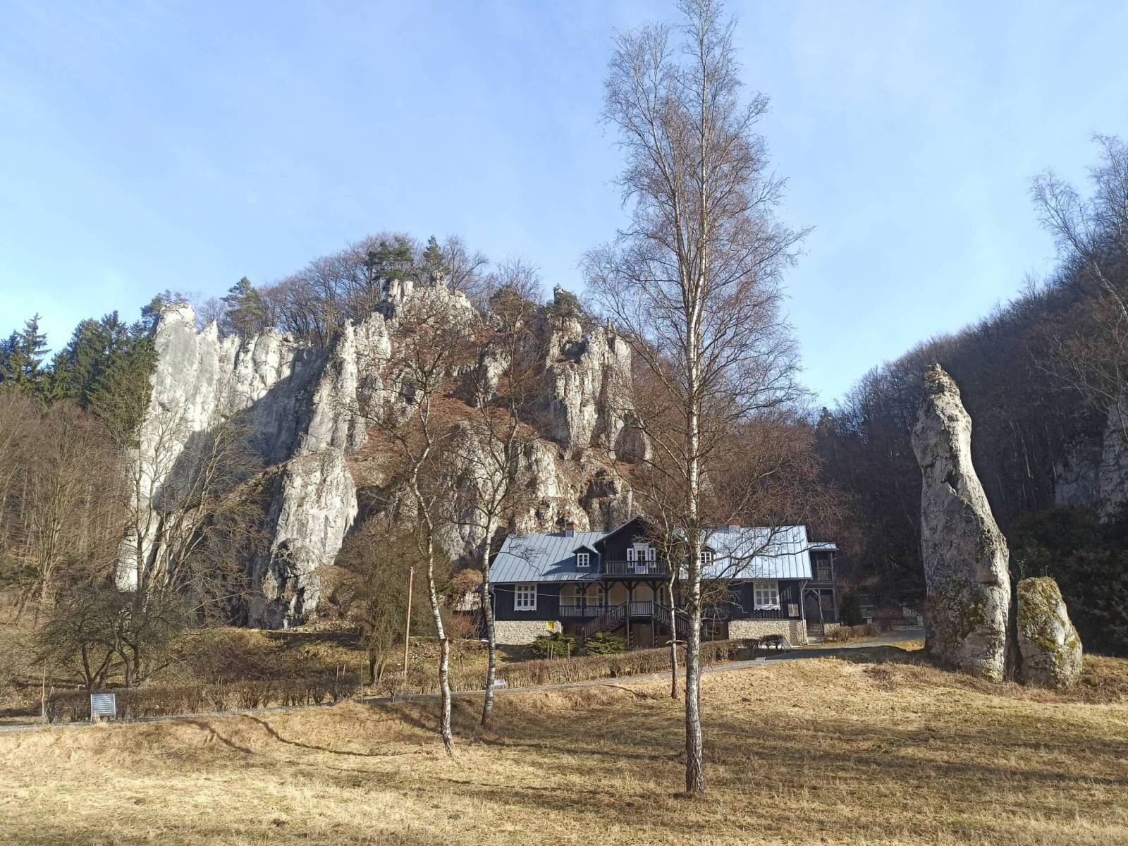 Zdjęcie 5