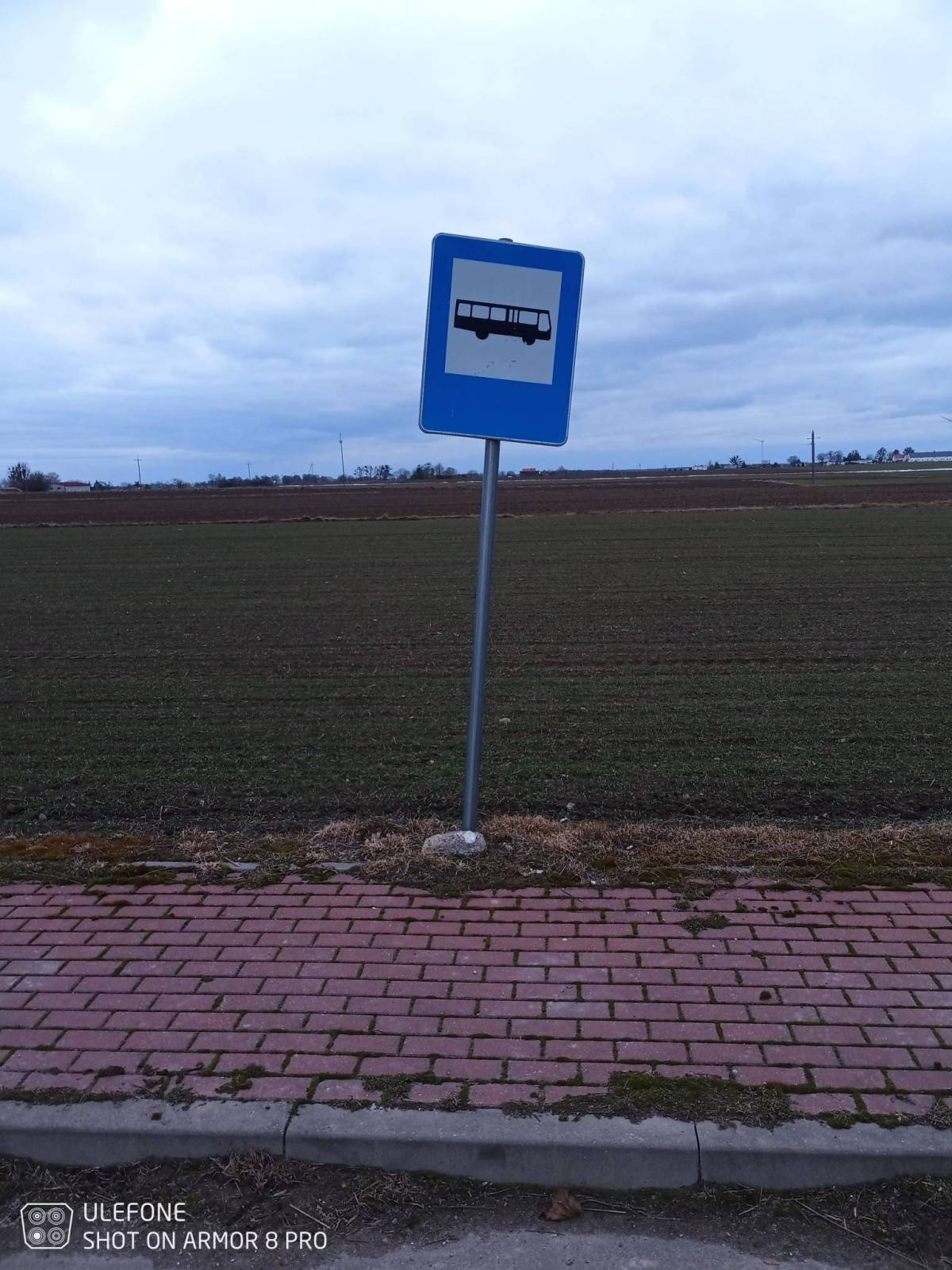 Zdjęcie 6