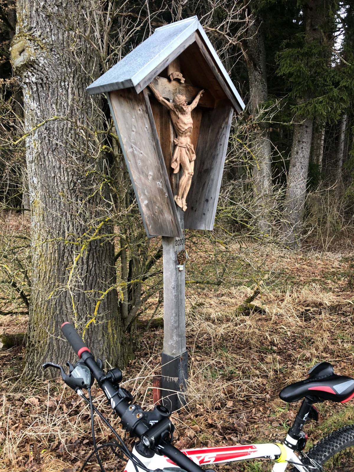 Zdjęcie 2