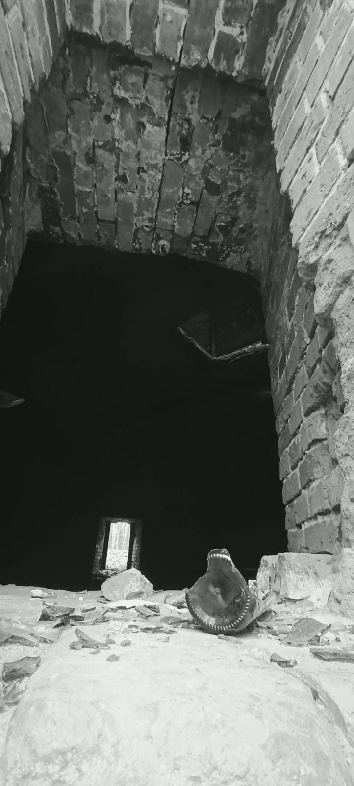 Zdjęcie 5