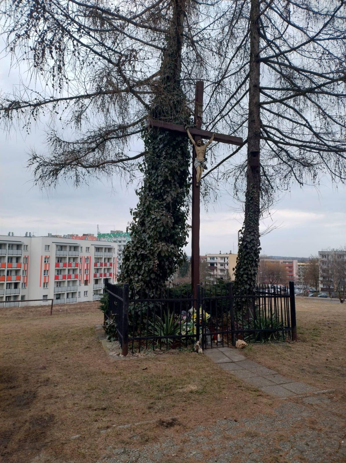 Zdjęcie 5