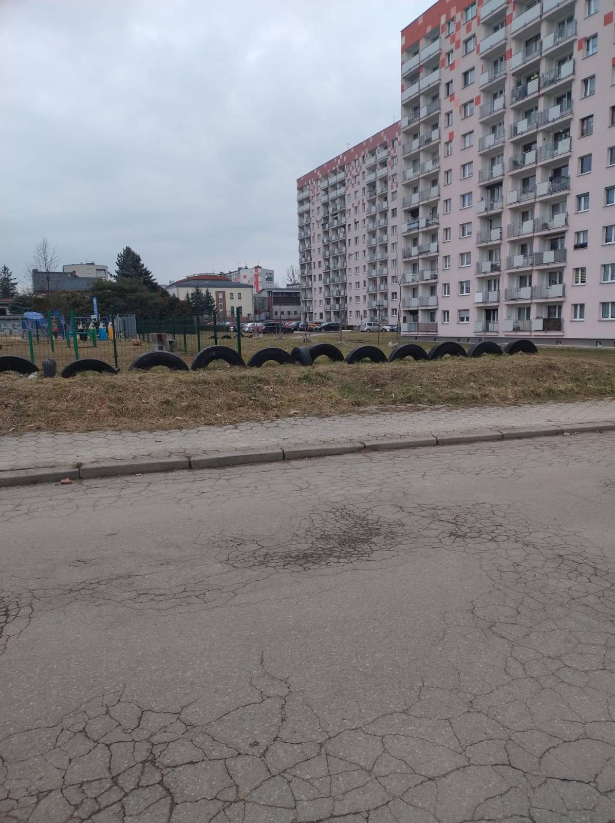 Zdjęcie 6