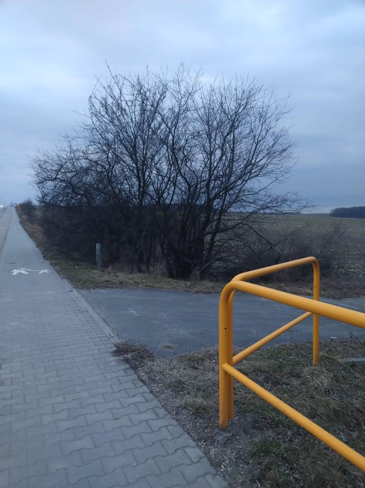 Zdjęcie 3