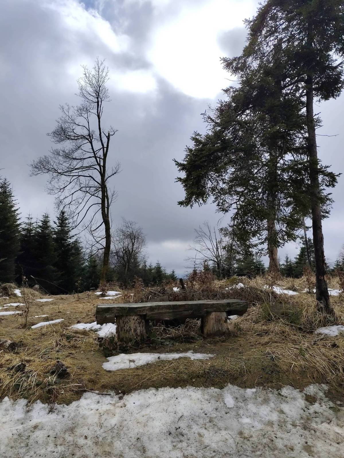 Zdjęcie 4