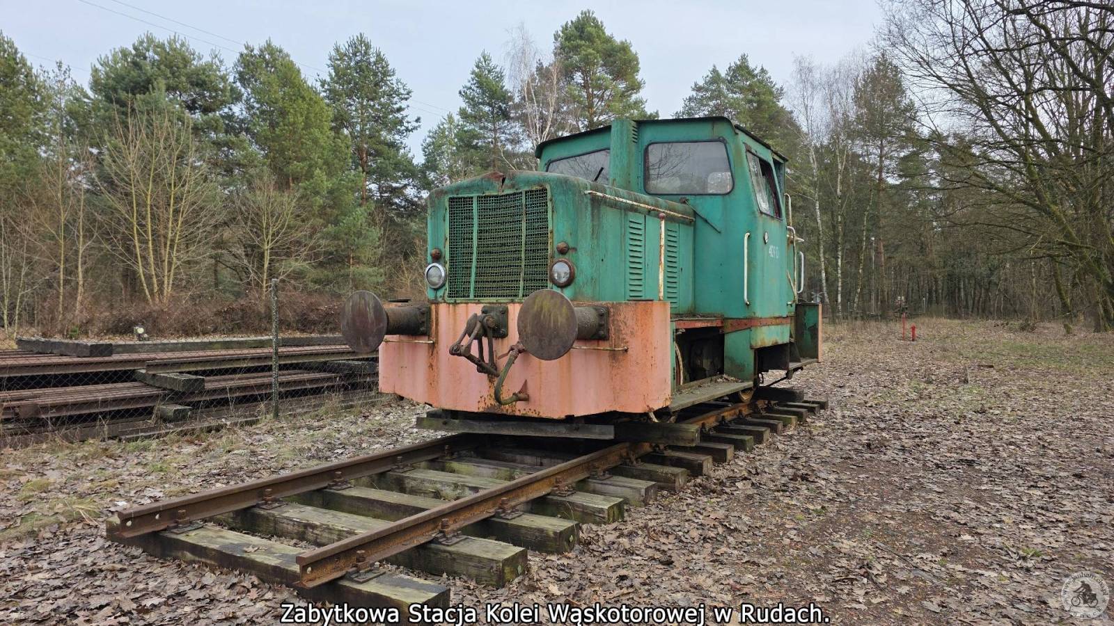 Zdjęcie 5