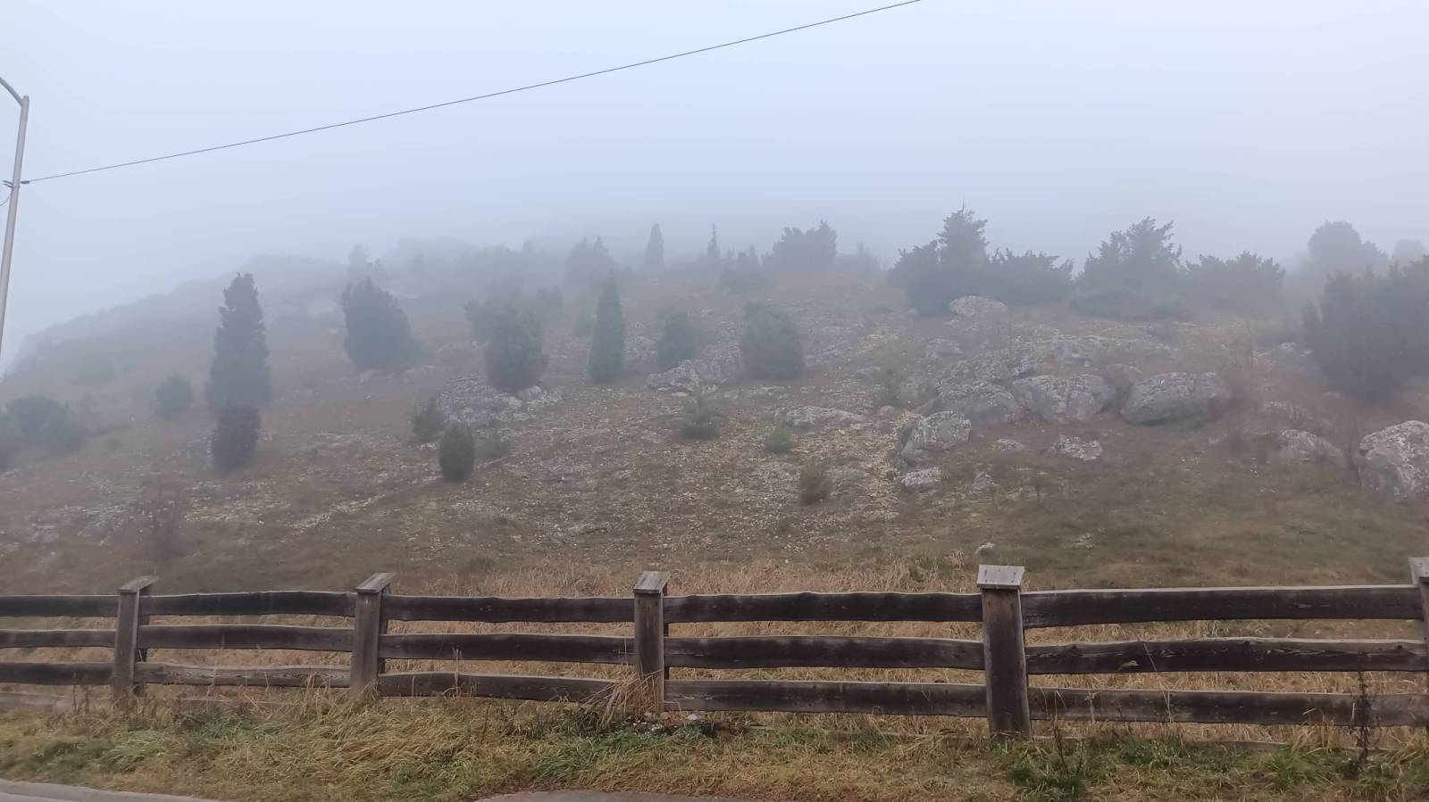 Zdjęcie 2