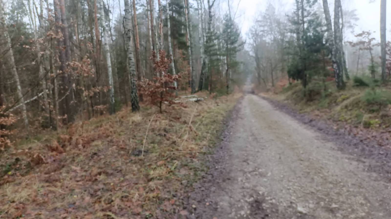 Zdjęcie 5