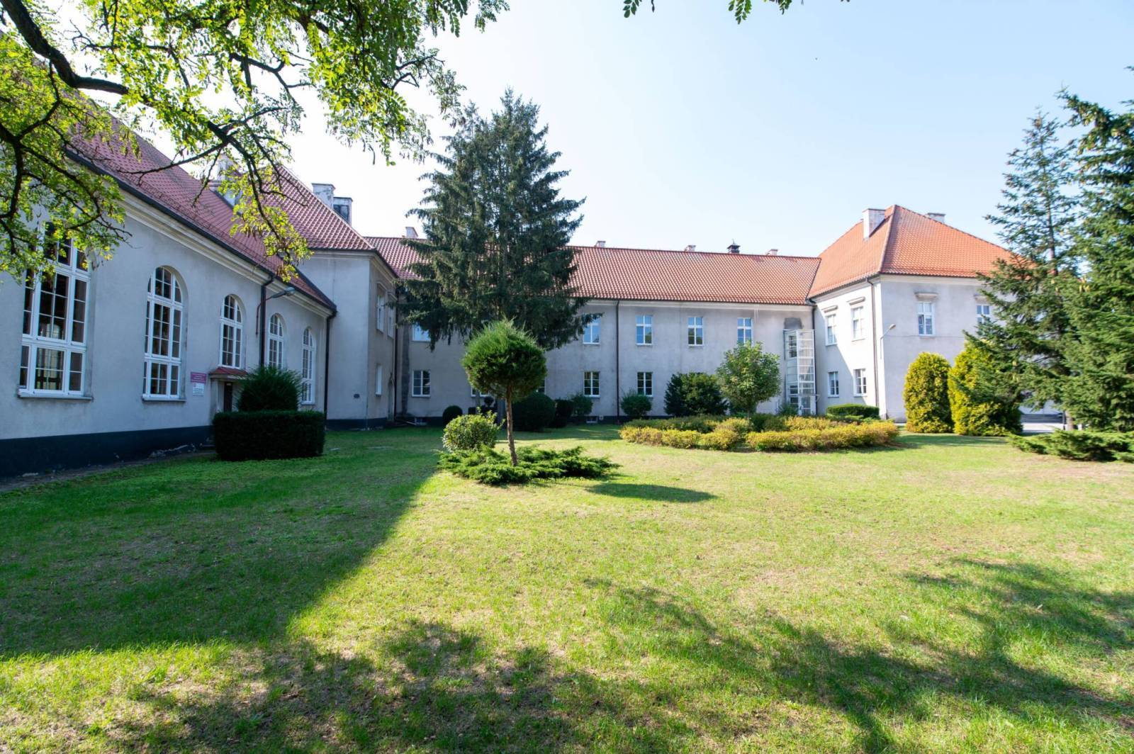 Zdjęcie 6