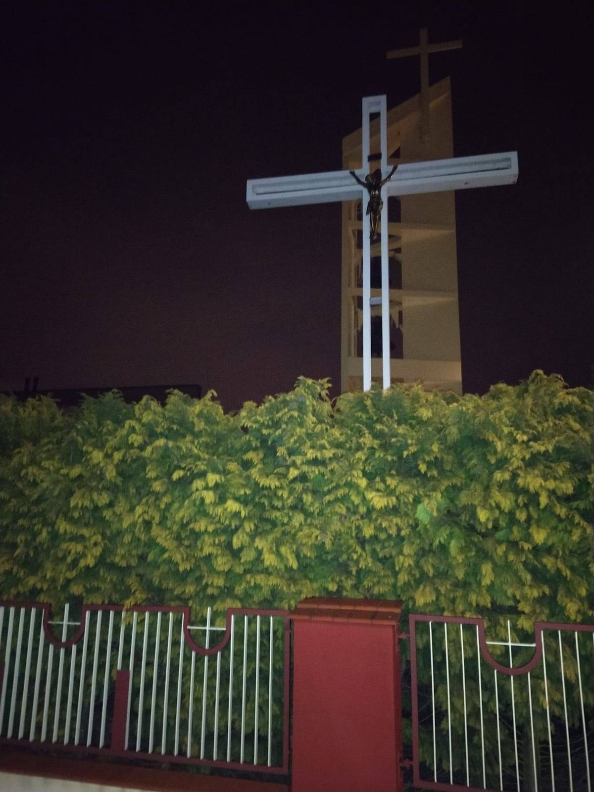 Zdjęcie 1