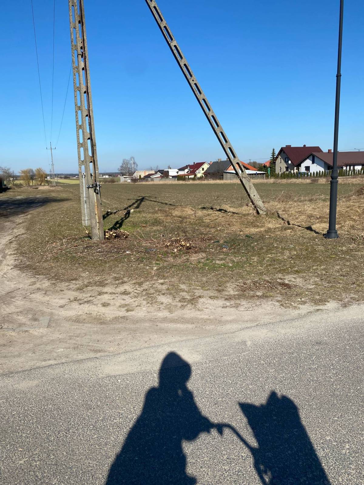Zdjęcie 2