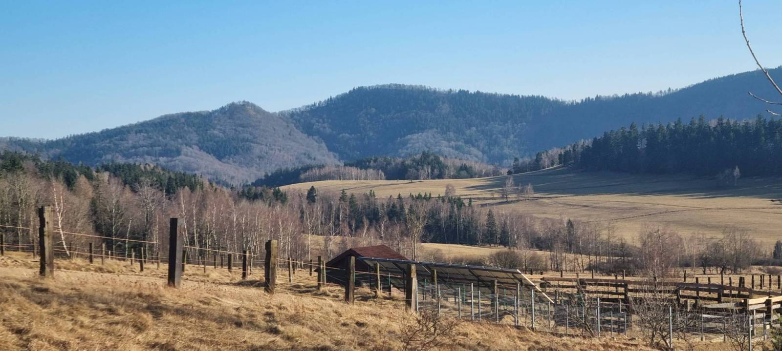 Zdjęcie 6