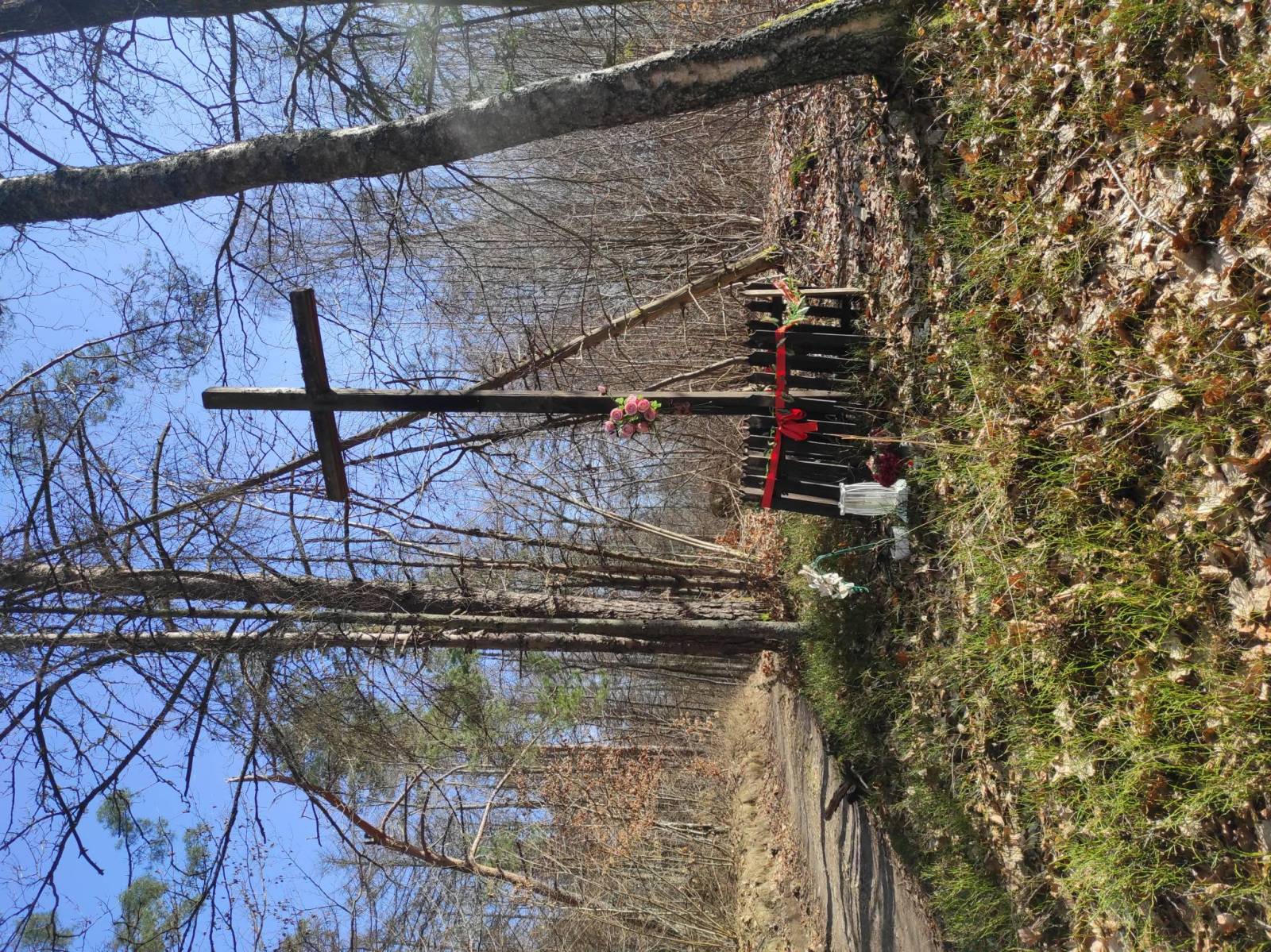 Zdjęcie 2