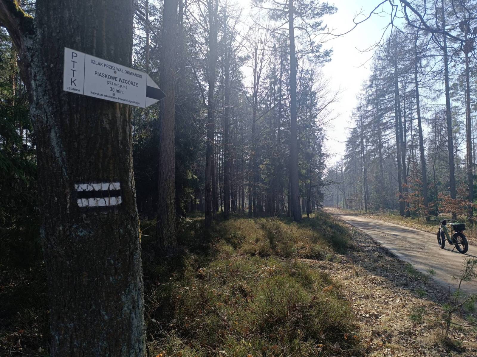 Zdjęcie 5
