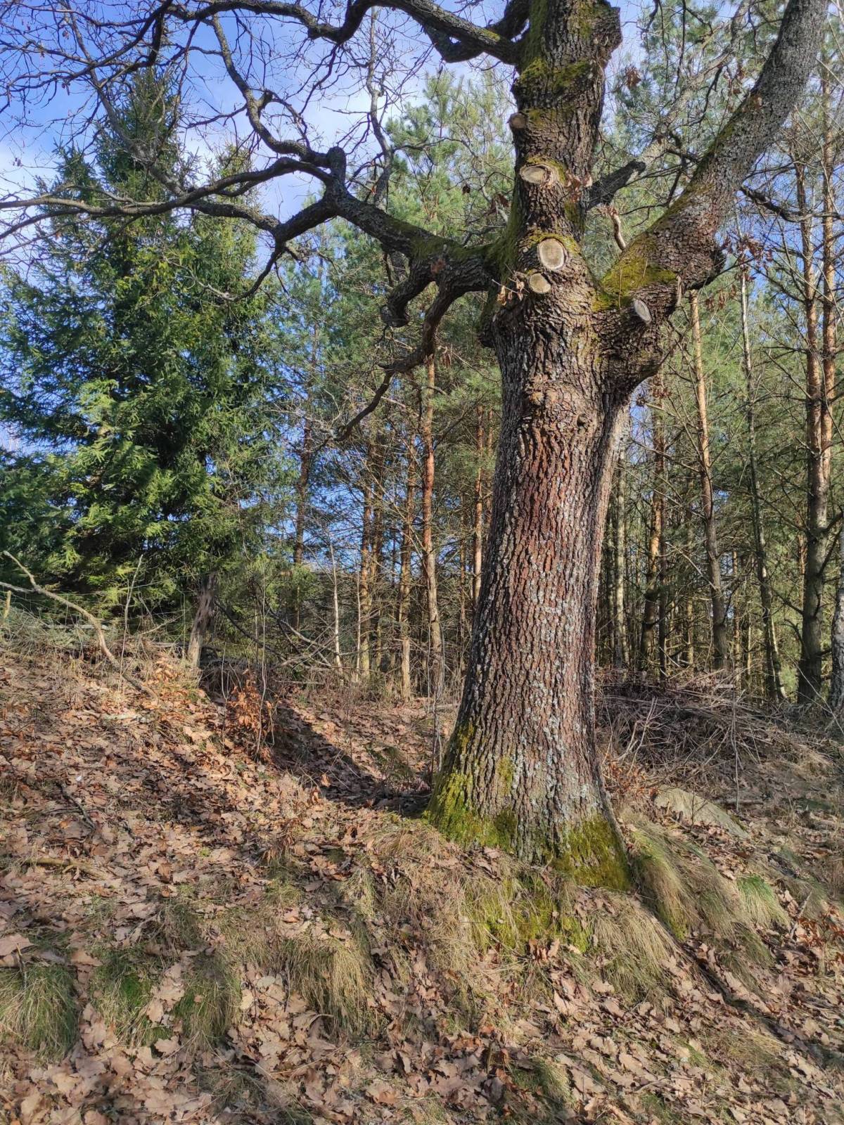Zdjęcie 2