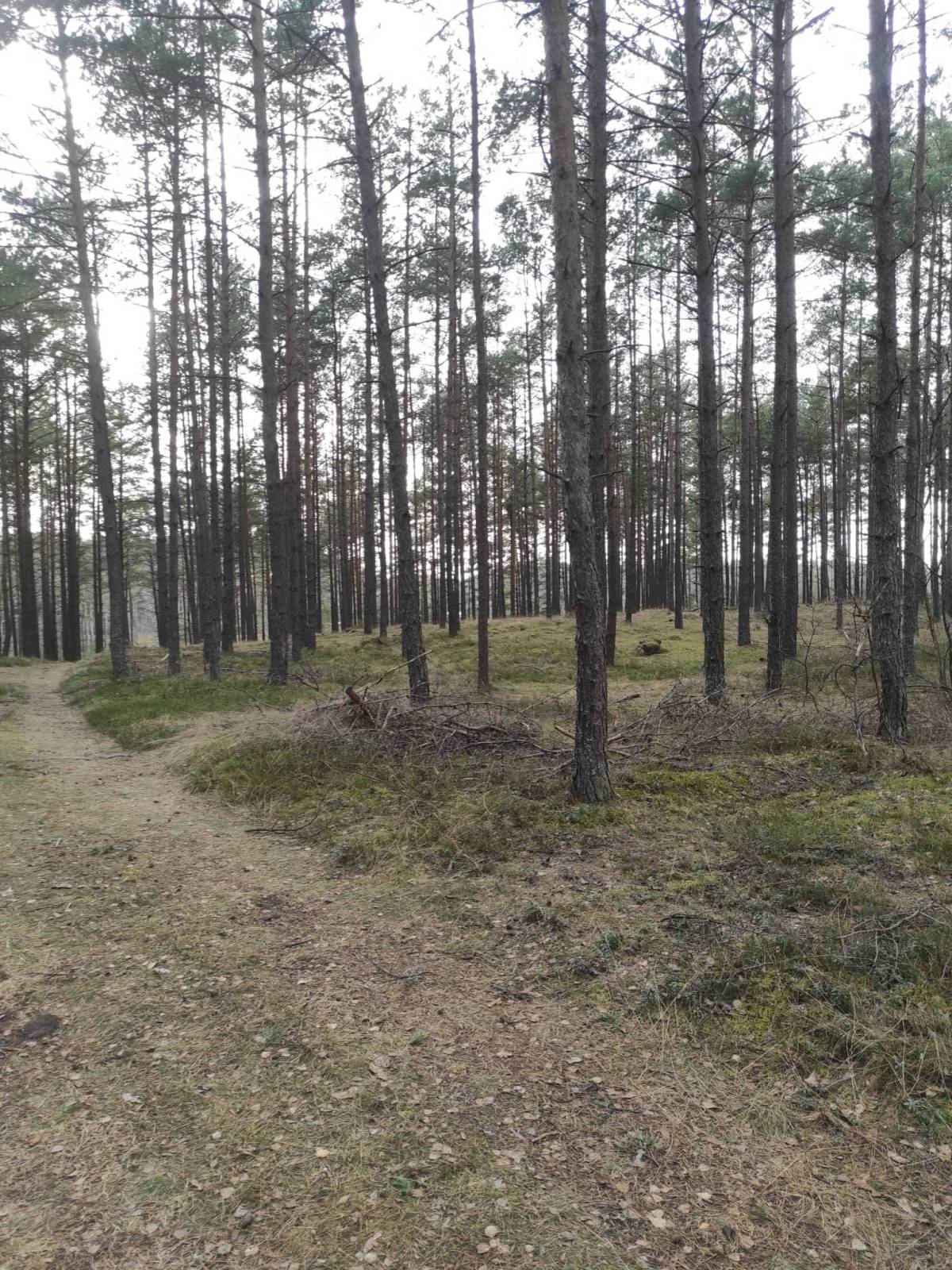 Zdjęcie 6