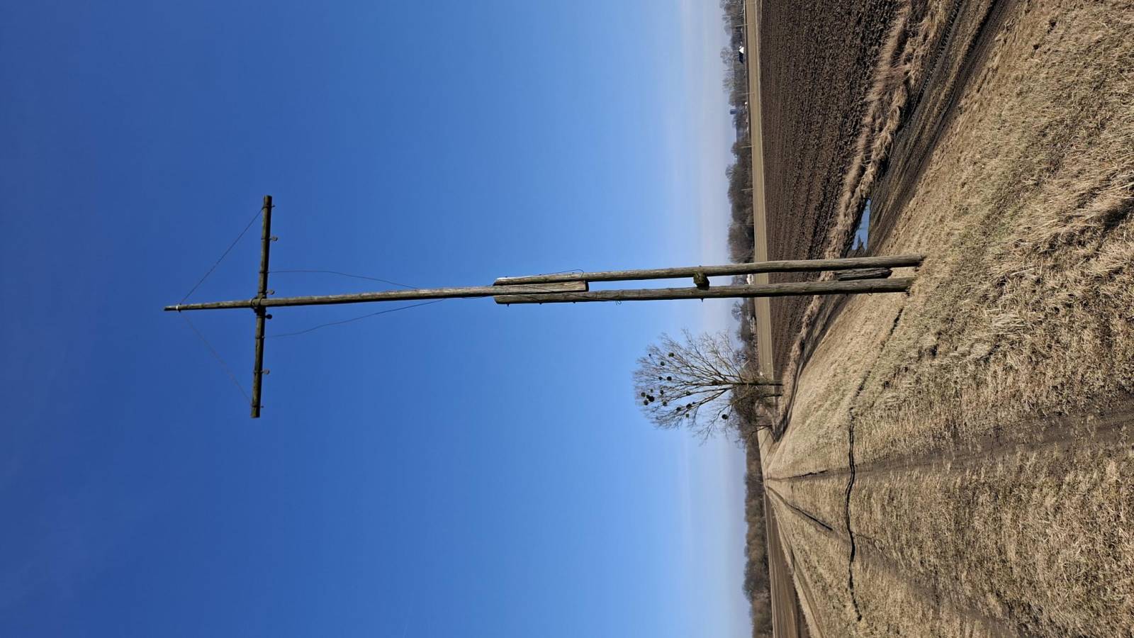 Zdjęcie 6