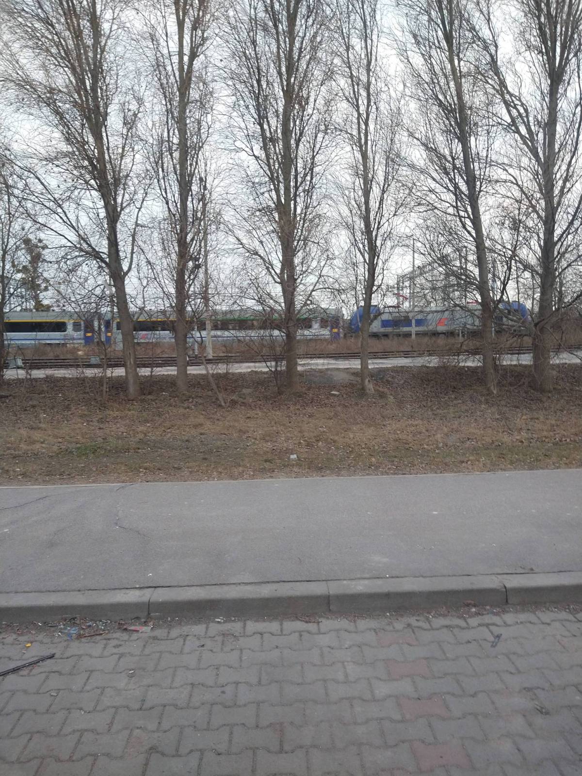 Zdjęcie 3