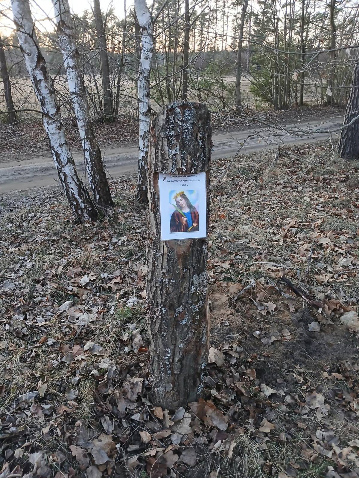 Zdjęcie 6
