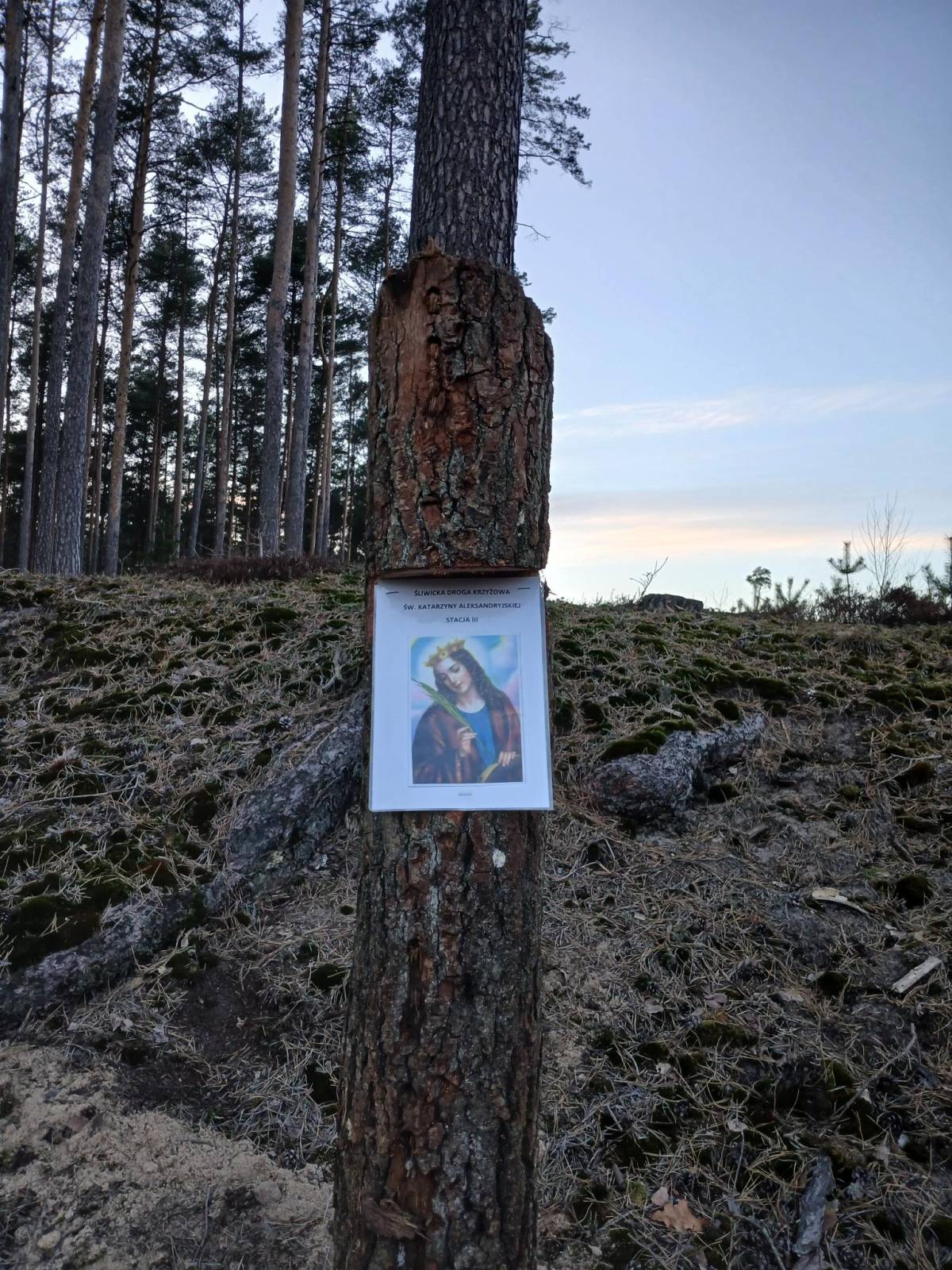 Zdjęcie 4