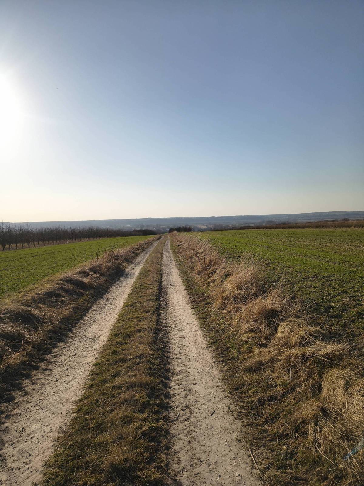 Zdjęcie 5
