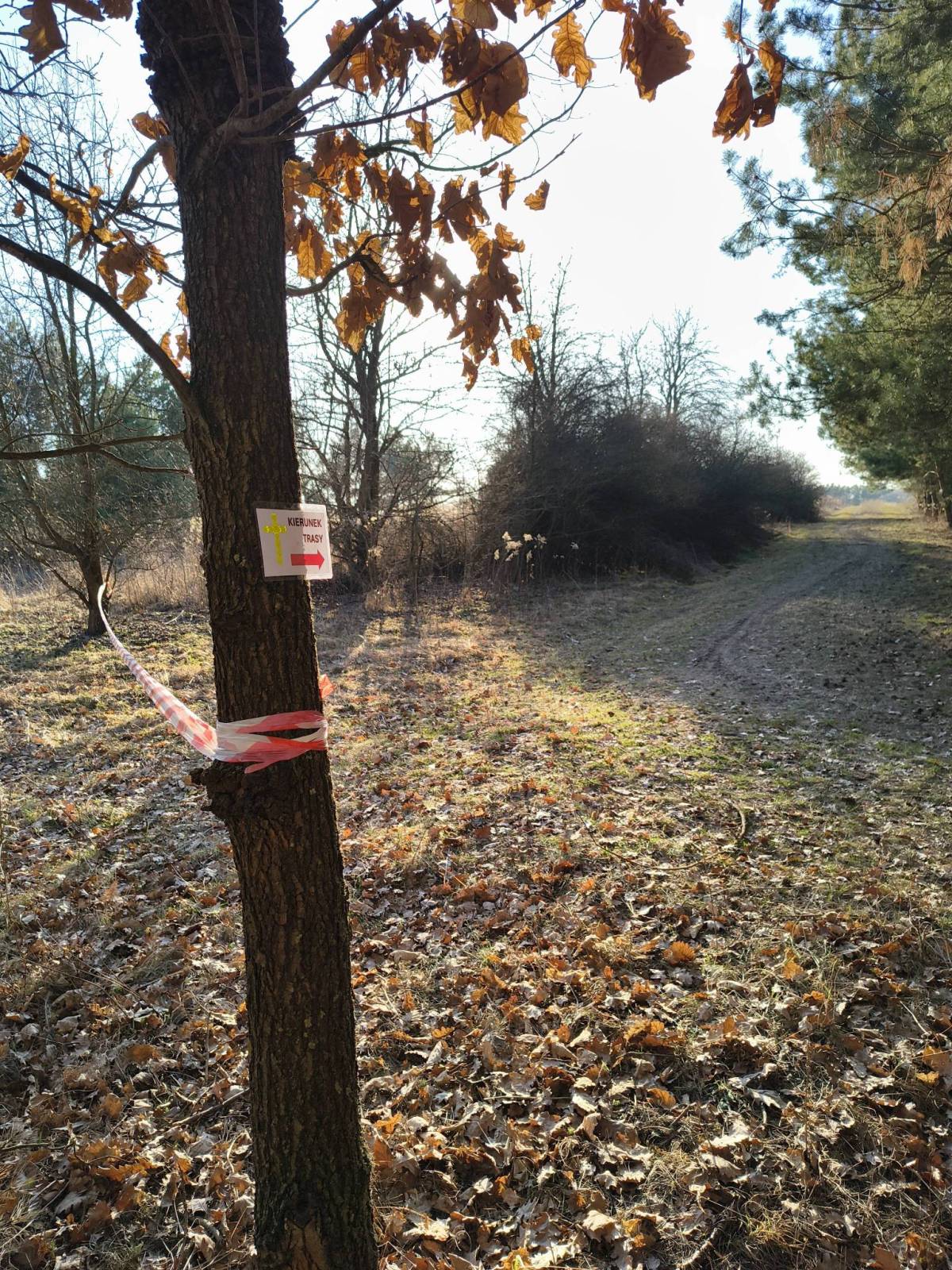Zdjęcie 6