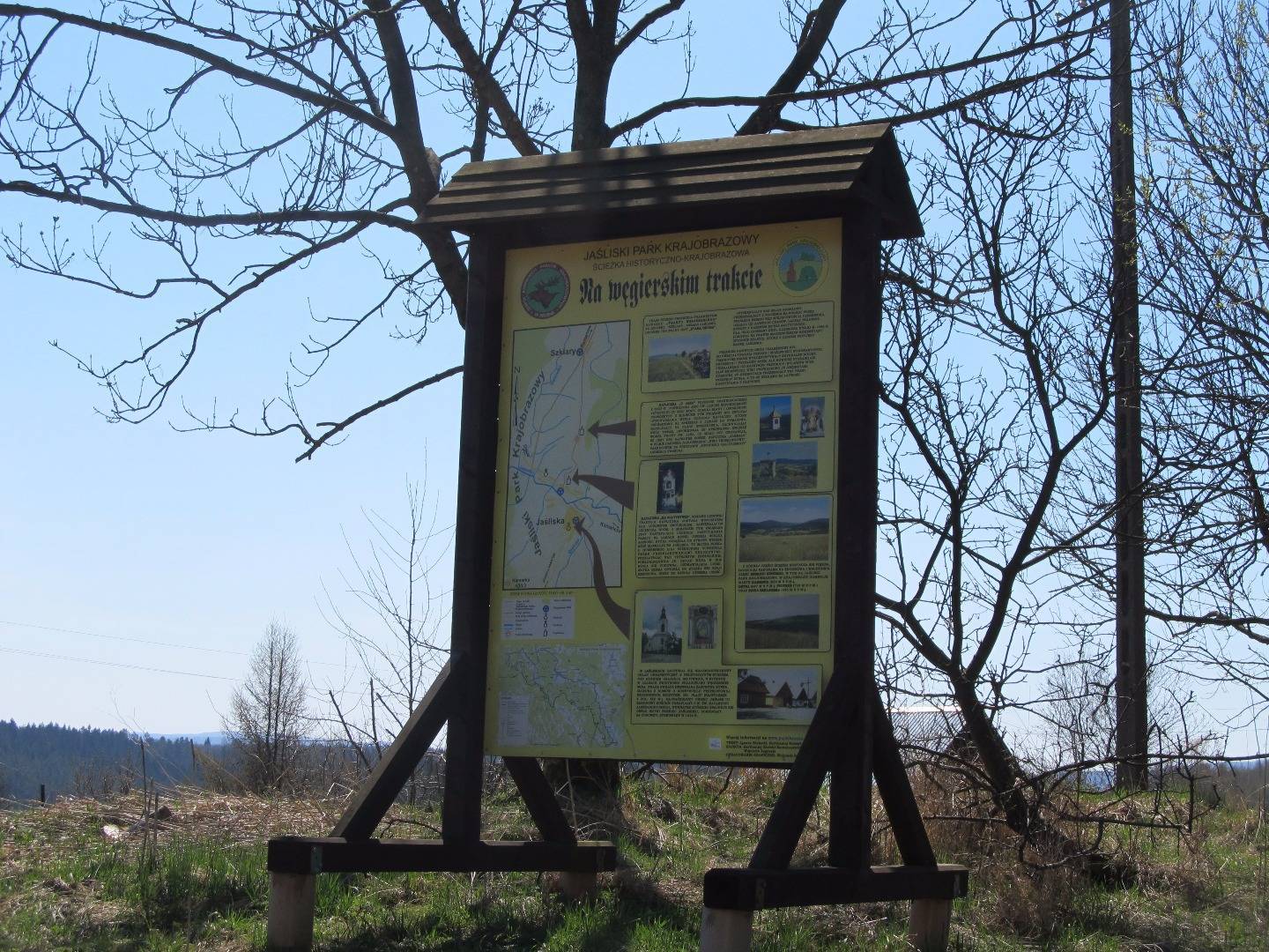 Zdjęcie 6