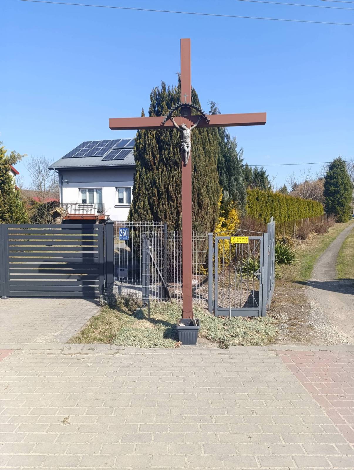 Zdjęcie 1