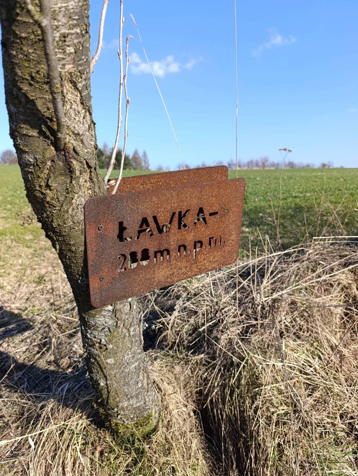 Zdjęcie 4