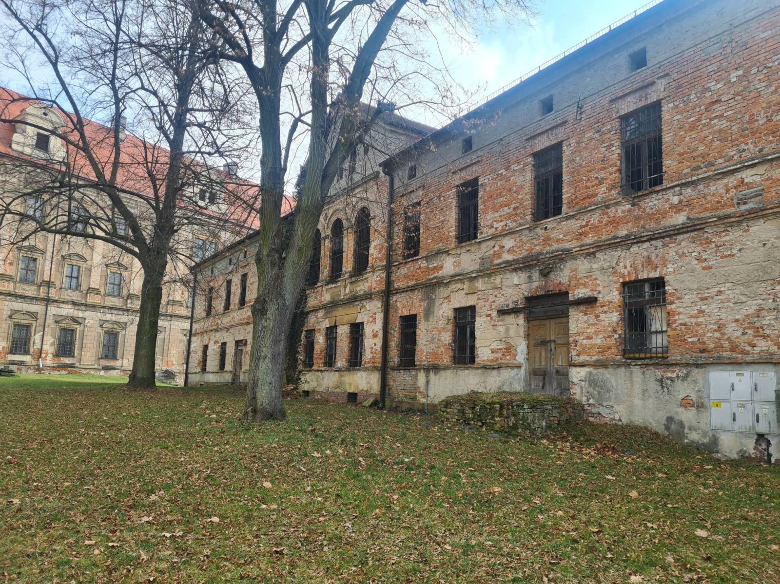 Zdjęcie 4