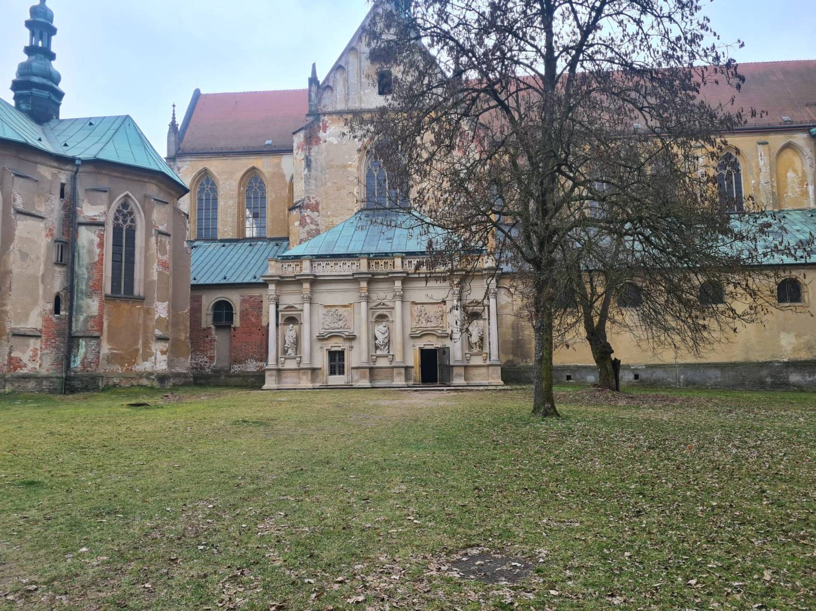 Zdjęcie 5