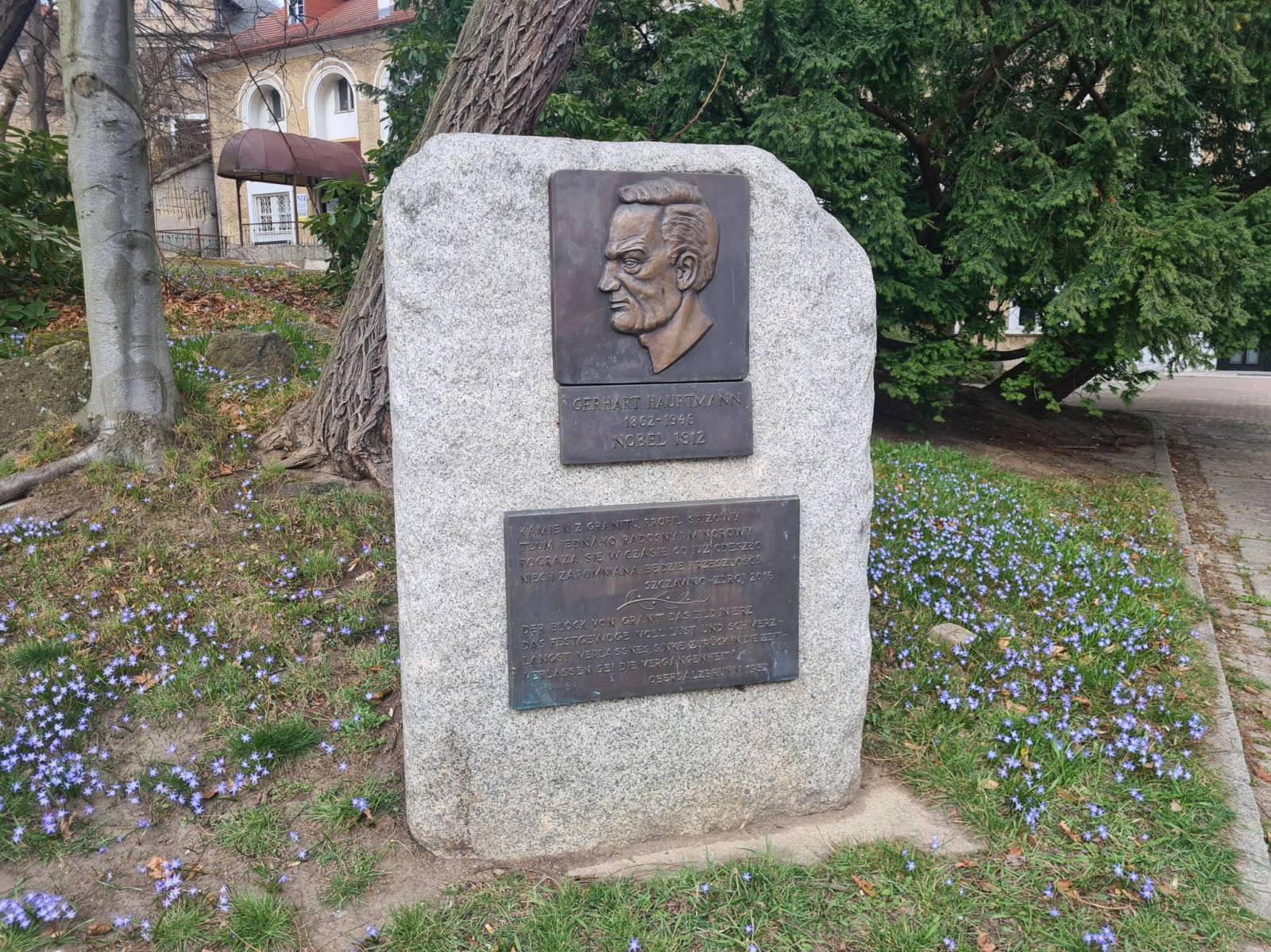 Zdjęcie 6