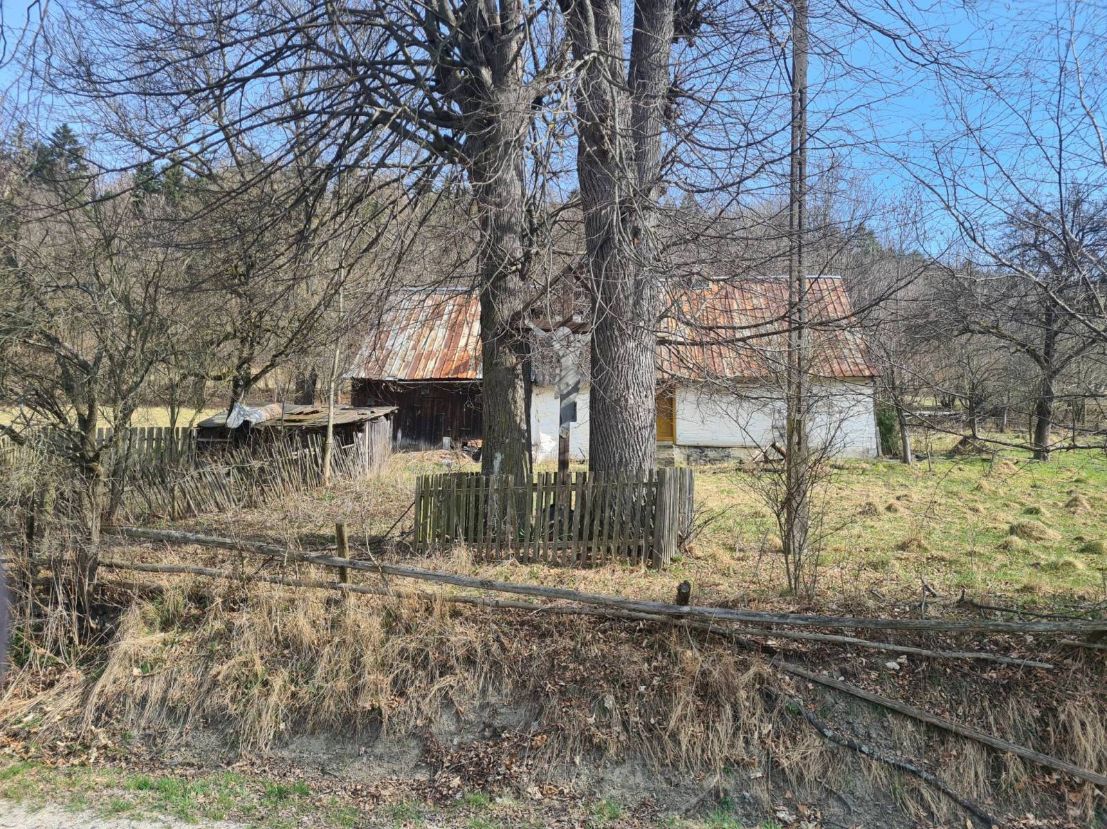 Zdjęcie 1