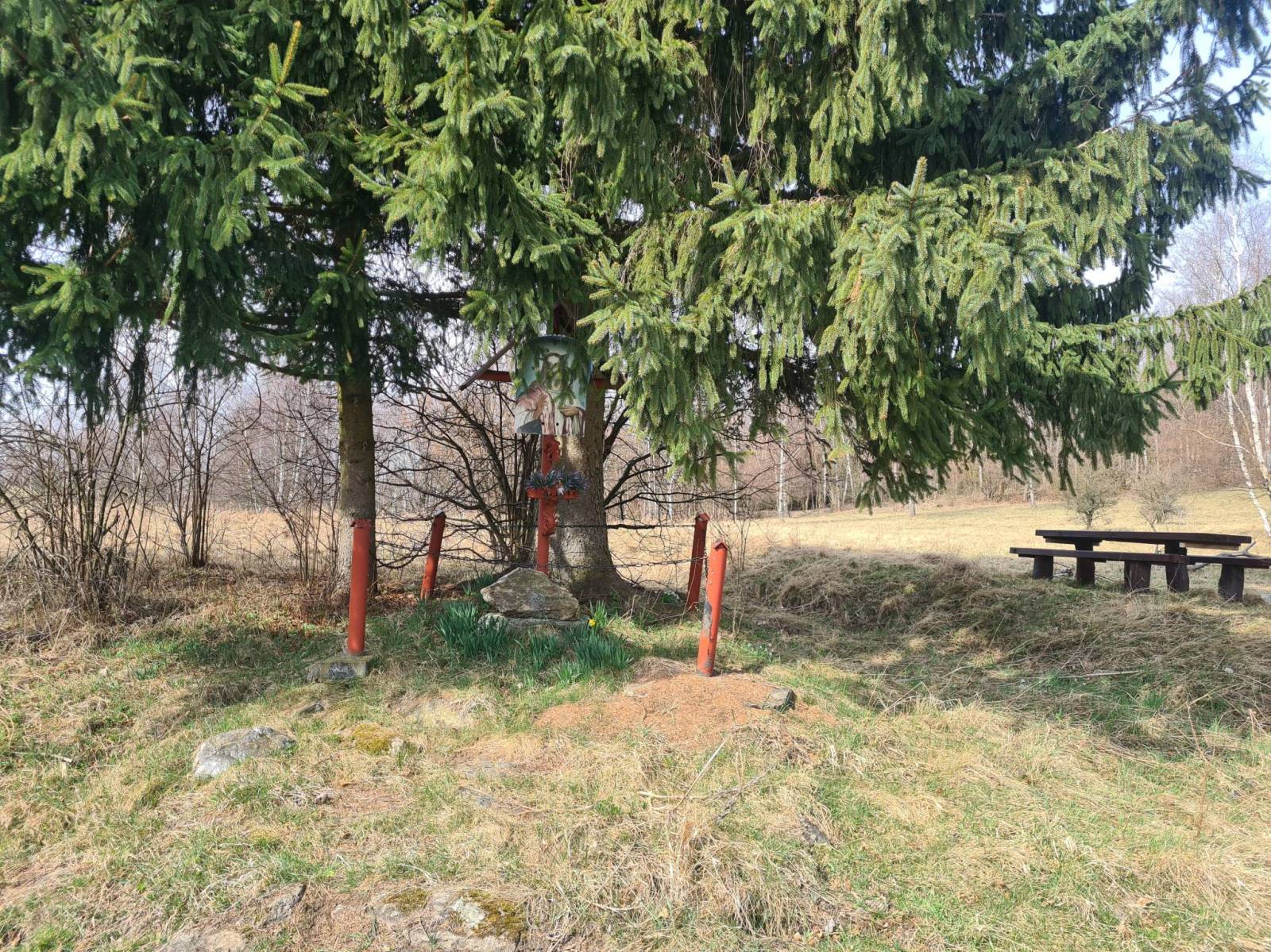 Zdjęcie 6
