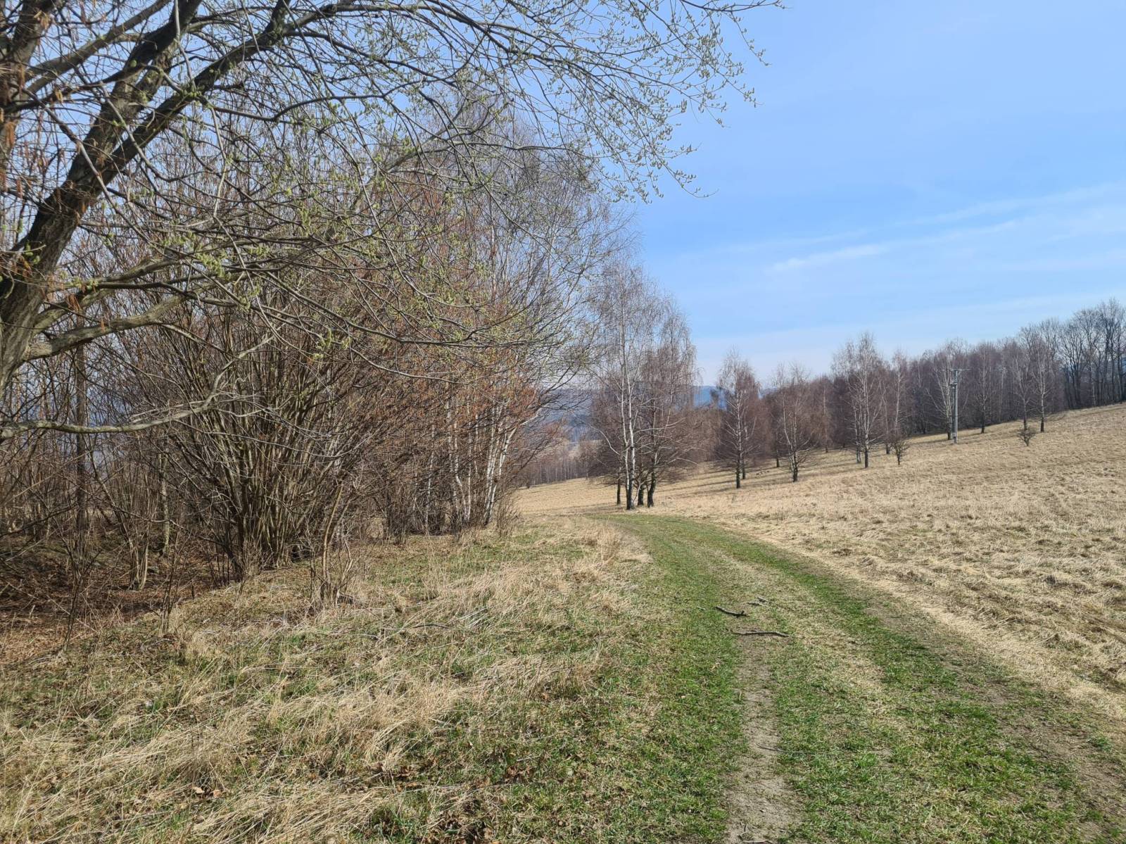 Zdjęcie 4