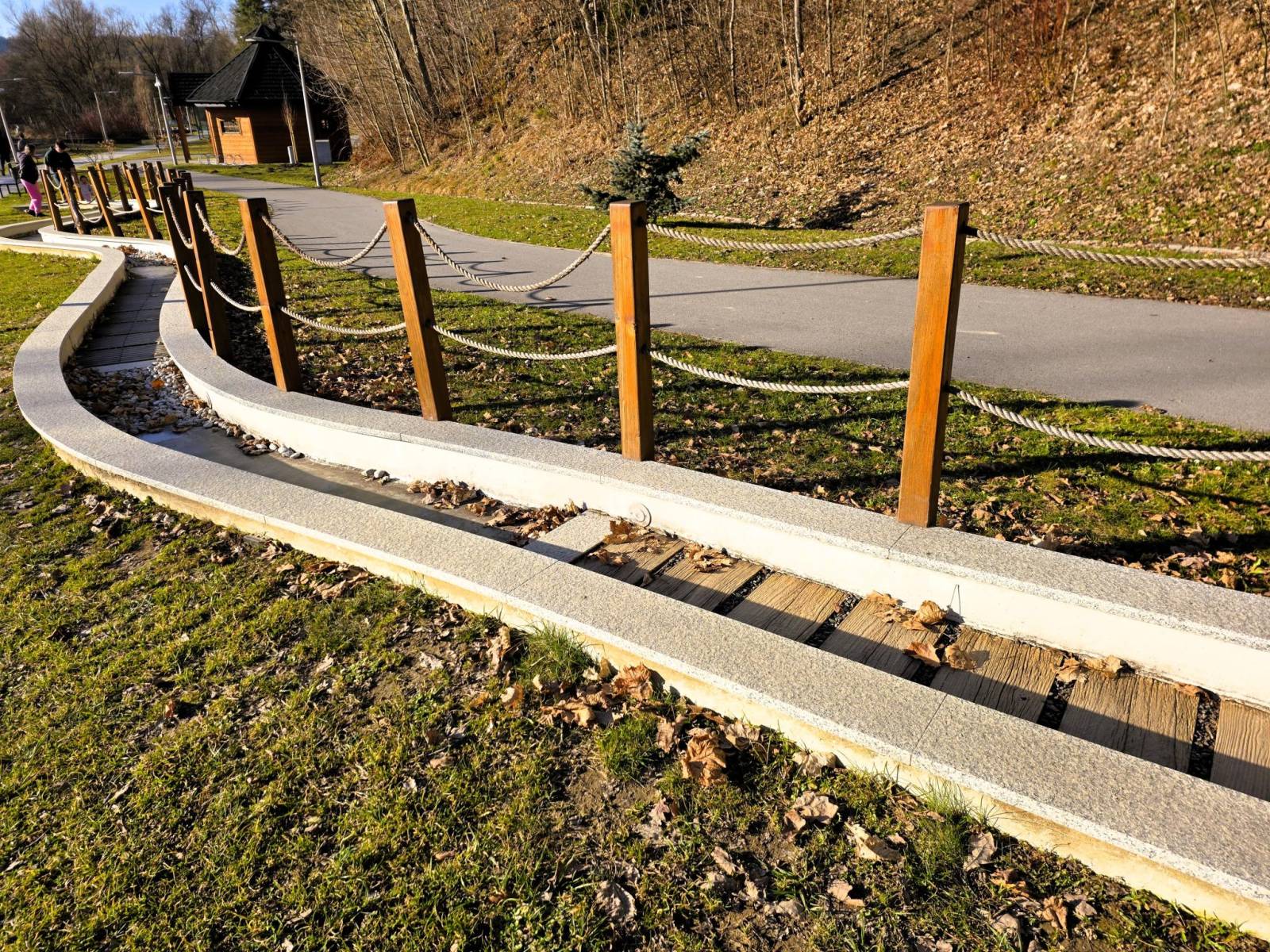 Zdjęcie 6