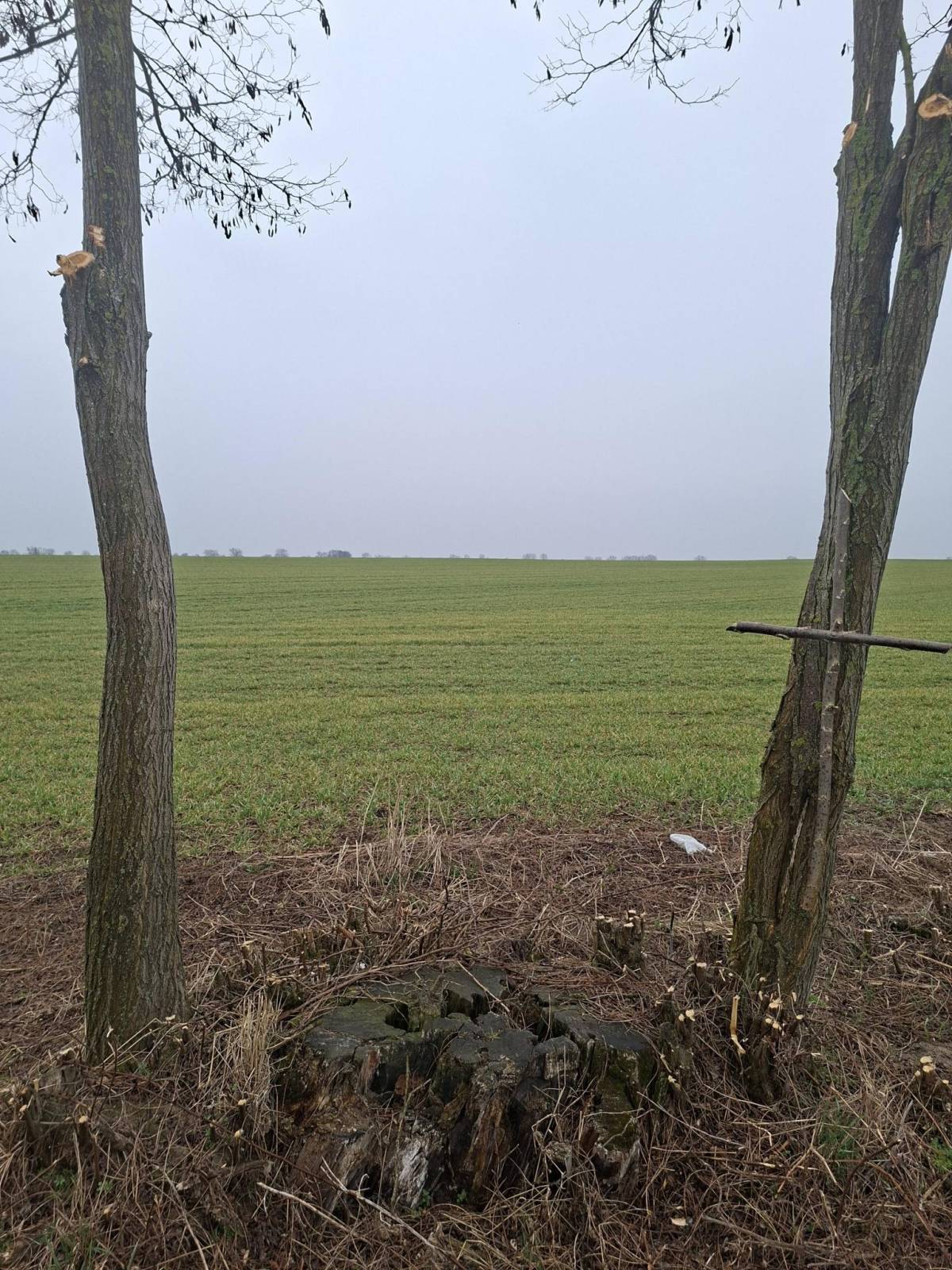 Zdjęcie 2