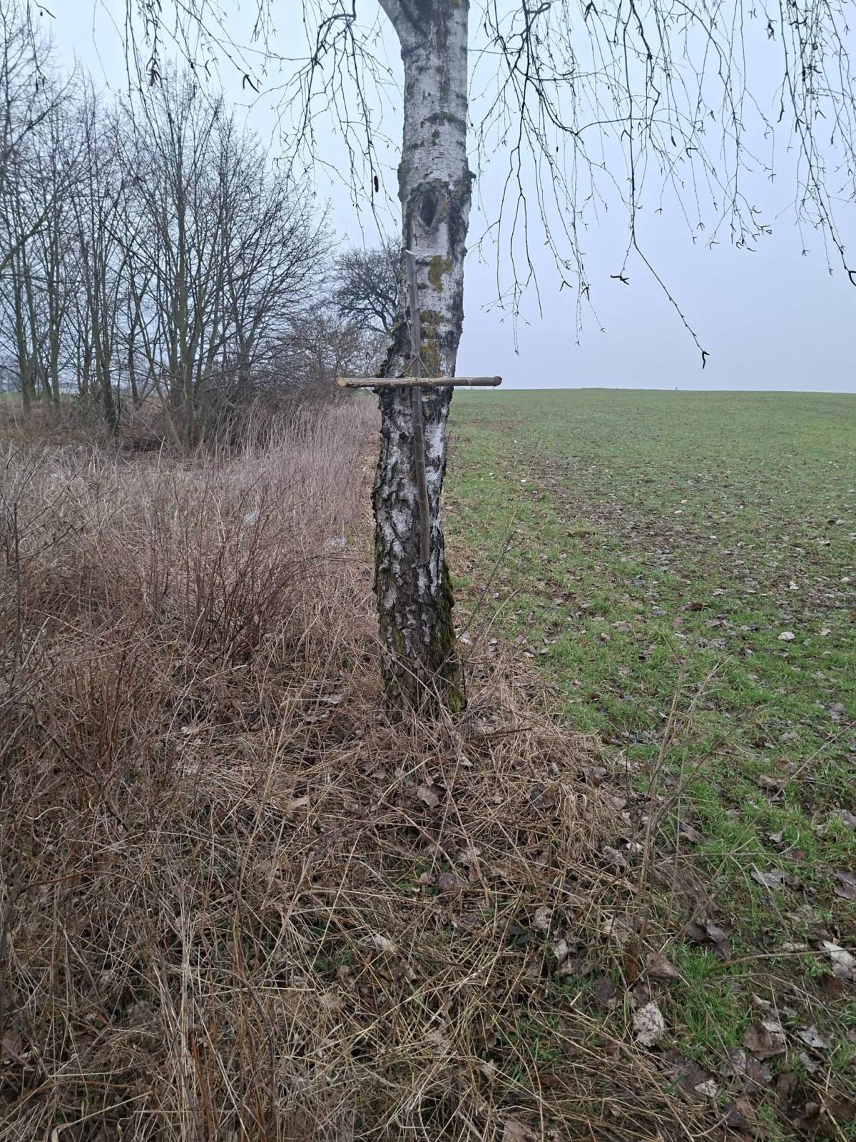 Zdjęcie 6